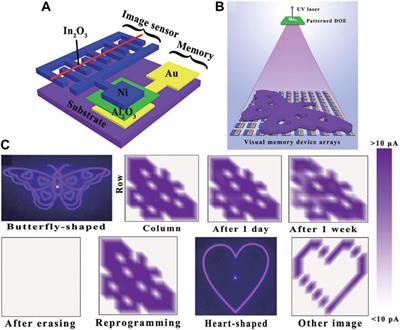 Recent Advances in Transistor-Based Bionic Perceptual Devices for Artificial Sensory Systems